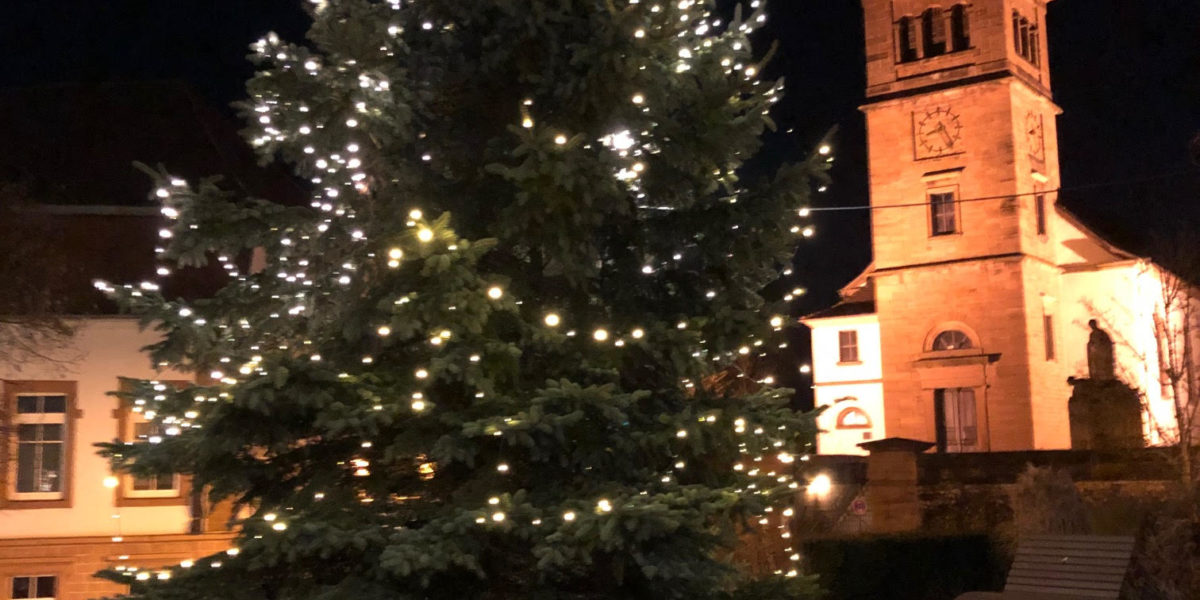 Unser großer Weihnachtsbaum auf dem Rathausplatz.